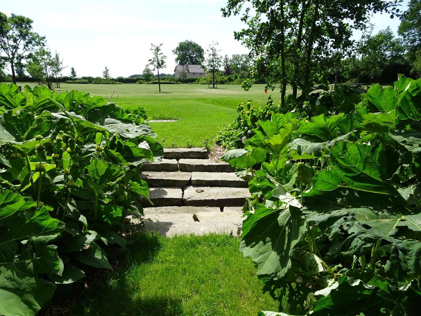 natuurlijke tuin, Bureau Natuurlijk