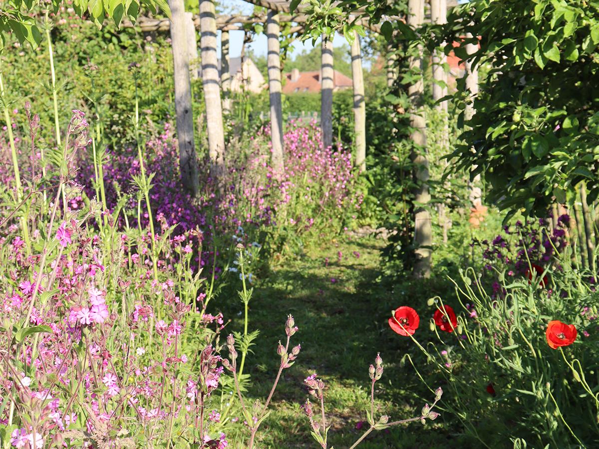 opentuindag opentuindag Bureau Natuurlijk, 9 juni 2025