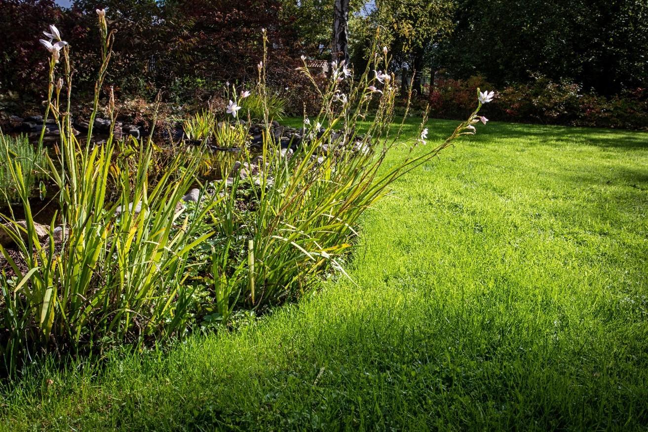 natuurlijke tuin, Bureau Natuurlijk