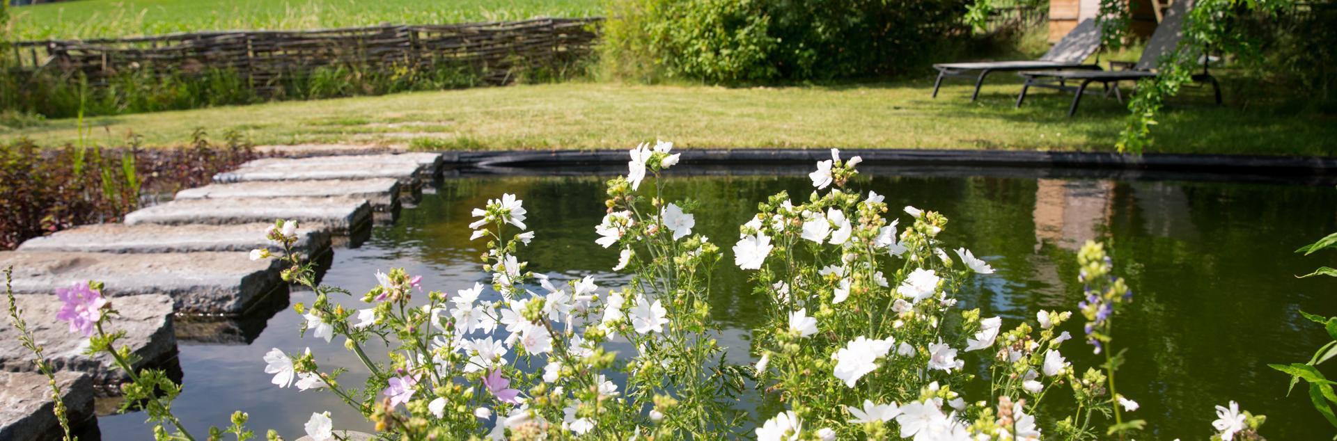 natuurlijke tuin, Bureau Natuurlijk